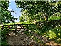 SK2479 : Gate on track to Barn in the Wood by Chris Morgan