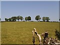 Field north of Carr Lane, Thorner