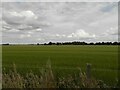 Farmland at Invererne