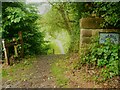 Footpath 60 entering Toad Holes Beck Nature Reserve