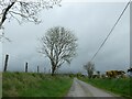 Road east of Waun-bant