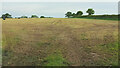 Harvested field, Beaulieu Wood