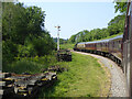 Dean Forest Railway train heading north