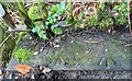 Rivet benchmark, roadside wall, Heaton Grove