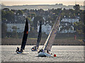 J5082 : Yacht racing, Bangor Bay by Rossographer