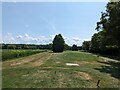 TL2887 : Old Nene Golf Course - The 3rd hole, par 3 by Richard Humphrey