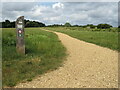 Path in Upton Country Park, near Poole