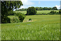 Farmland, West Meon