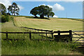 Farmland, East Meon