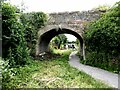 Looking west under Chemistry Bridge