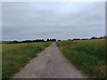 Bridleway towards East Challow