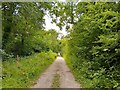 Footpath towards Kingston Lisle