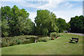 Village Pond, Wood Street Green