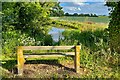 Bench by a pond