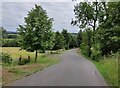 Lane to Bodenham Aboreturm