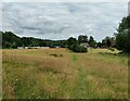 North Worcestershire Path towards the Kingsford Caravan Park