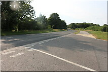 TL4952 : Babraham Road near Stapleford by David Howard