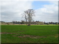 Farmland near Moreton-in-Marsh