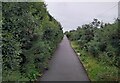 Ayrshire Coastal Path