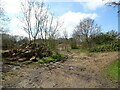 Track to disused quarry