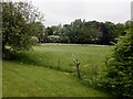 Field, Garforth Cliff