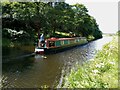 Cruising the canal