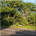 SP3784 : Mile Tree Lane meets Parrotts Grove by A J Paxton