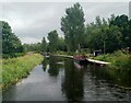 Forth & Clyde Canal near Falkirk Wheel