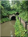 Shrewley Tunnel, North Portal