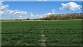 Footpath Leading North-East from Wolves Farm