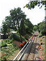 Lineside clearance work on the Coryton line