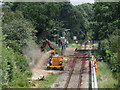 Lineside clearance work on the Coryton line