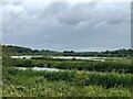 SE3828 : Lake in St Aidan's Nature Reserve by Graham Hogg