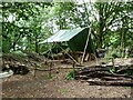 SJ5359 : Woodland working area at Beeston Castle by Oliver Dixon