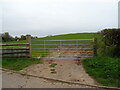 Field entrance, Little Nobury