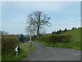 Road to the farm at Tan-llan