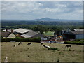 Wilderley Hall Farm, east of Pulverbatch