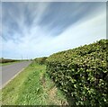 Culvert, Spring Lane, Netherby