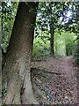 Habberley Valley Circular Walk at Trimpley Green