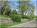 The A689 east of Hare Law