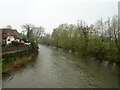 River Teme, Tenbury Wells