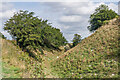 Old Sarum