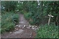 Fording a dry stream on Kelshall Lane byway