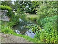 Pond at Hay Green Farm