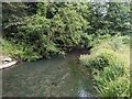 The River Lugg (Kinsham)