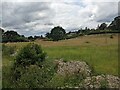 Lower Kinsham (Viewed from Kinsham Bridge)