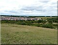 View from old spoil heap in Rising Sun Country Park