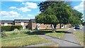 Trees and housing beside Wood Park