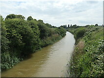 TA1330 : Holderness Drain, looking downstream by Christine Johnstone