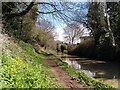 SP3888 : Ashby-de-la-Zouch Canal by Mill Farm Park, Bulkington by A J Paxton